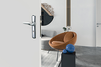 Door Handles